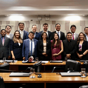 Veja como votaram os deputados do Maranhão no projeto de licenciamento ambiental