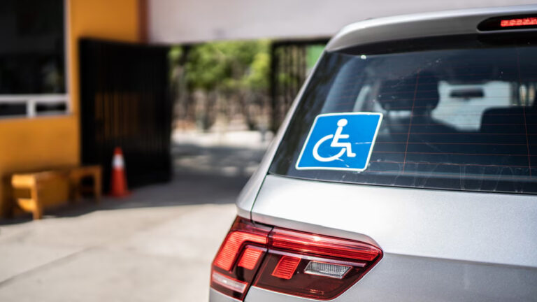 Projeto que garante isenção automática de IPVA para autistas e PCDs vai à CCJC da Alema