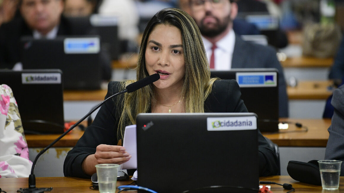 CCJ dá parecer favorável a projeto de Ana Paula Lobato que combate ligações indevidas de telemarketing