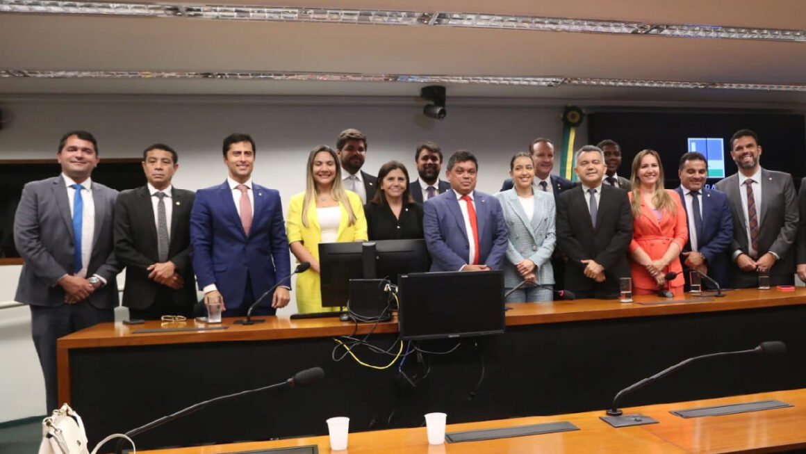 Câmara aprova suspensão de norma sobre aborto legal; veja como votaram os deputados do Maranhão