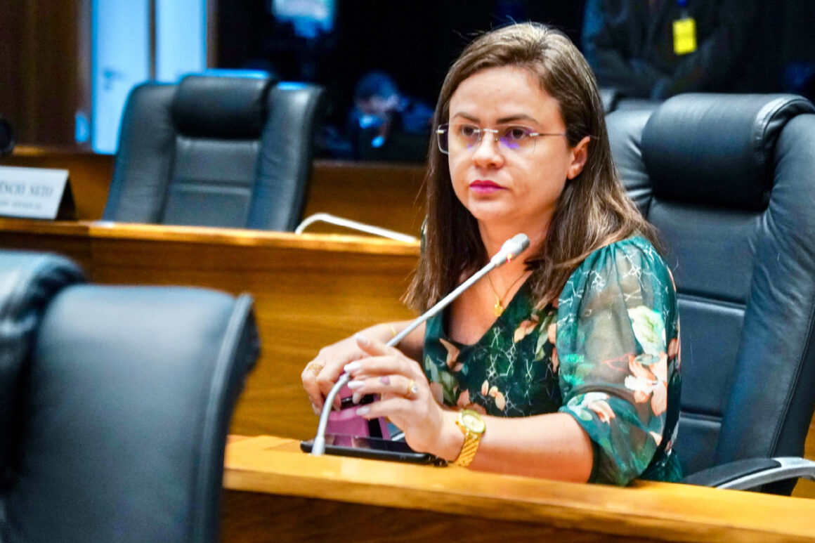 Deputada propõe política estadual para uso ético da inteligência artificial nas escolas do Maranhão