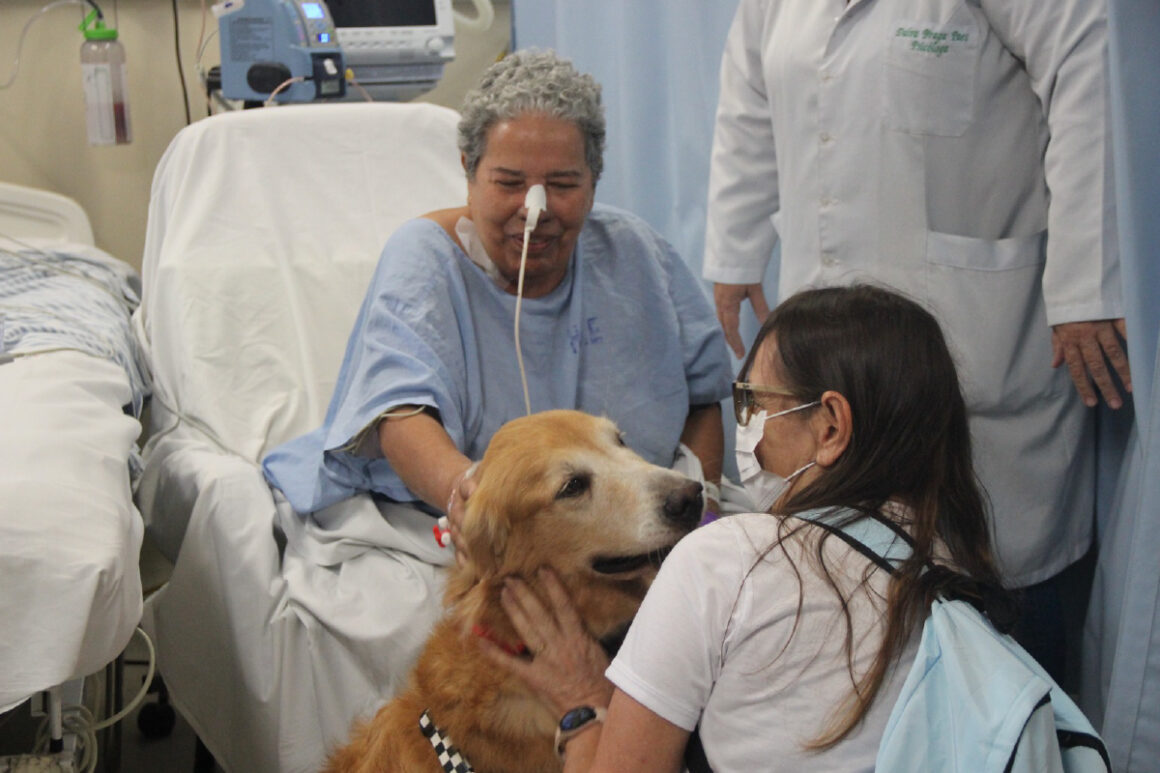 Projeto autoriza visita de animais de estimação a pacientes internados em hospitais do Maranhão