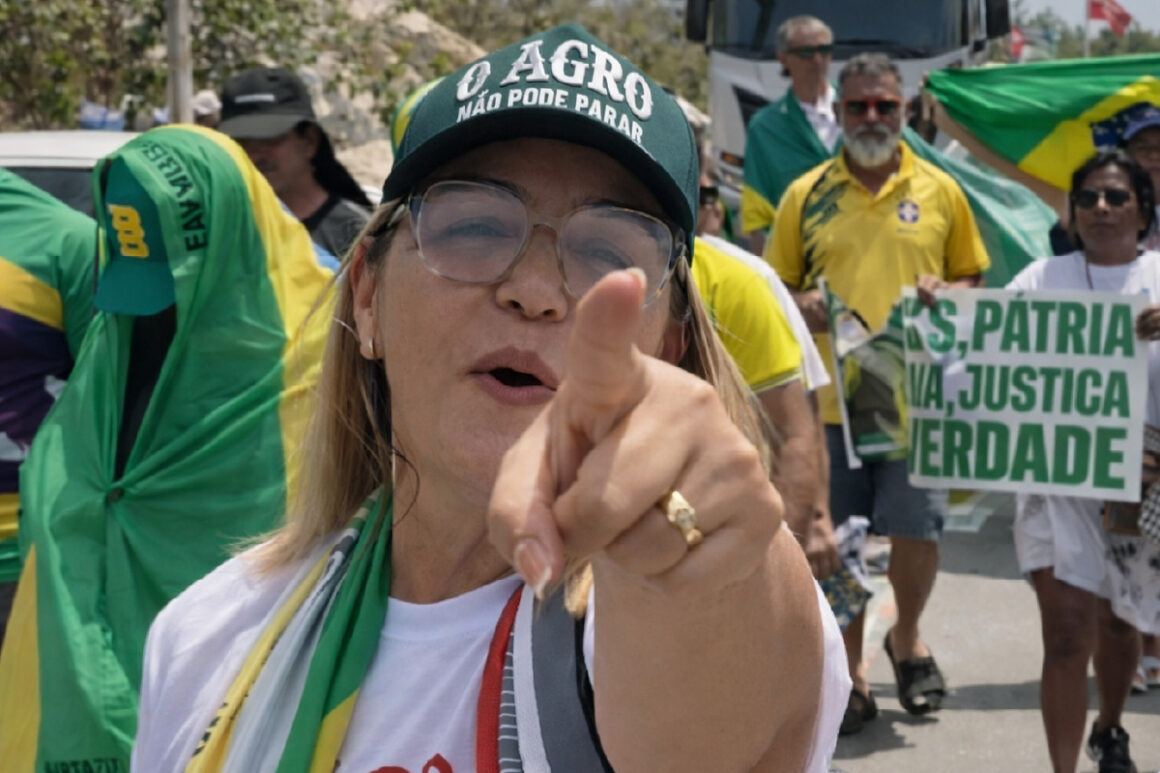 Ao som de “Admirável Gado Novo”, vereadora de São Luís critica o Carnaval e fala em “adultos festejando a própria ignorância”