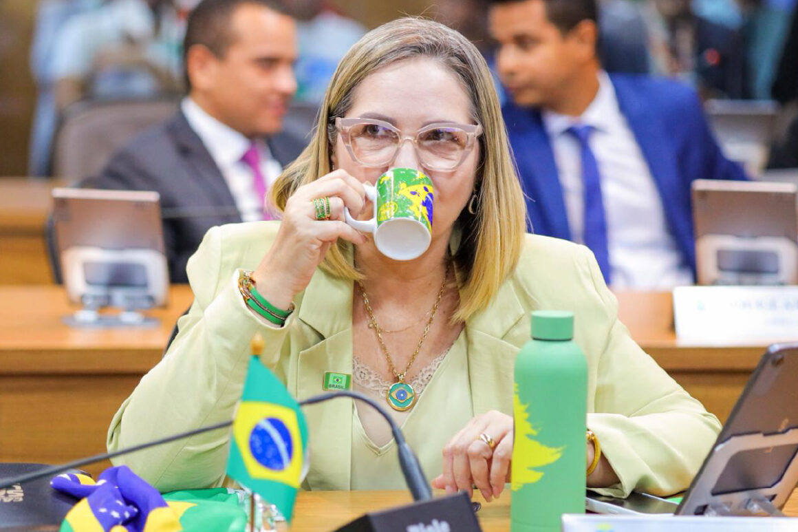 Vereadora bolsonarista usa lema “antibolsonaro” para criticar Erika Hilton na Comissão da Mulher