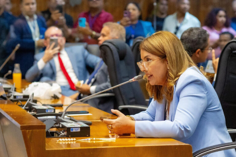 Iracema Vale propõe criação do Observatório Maranhense do Feminicídio