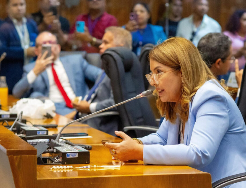 Iracema Vale propõe criação do Observatório Maranhense do Feminicídio