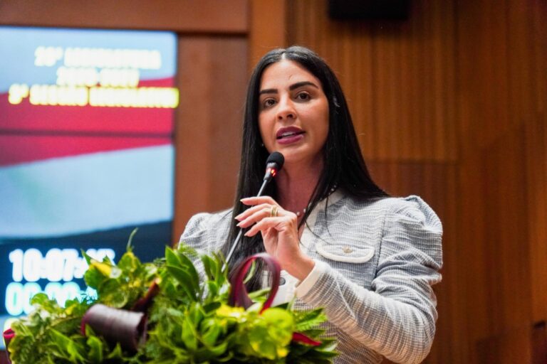 Projeto cria política para proteger autonomia financeira de mulheres vítimas de violência no Maranhão