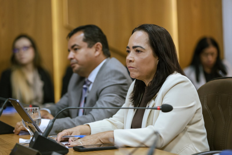 Vereadora propõe plano anual contra alagamentos em São Luís