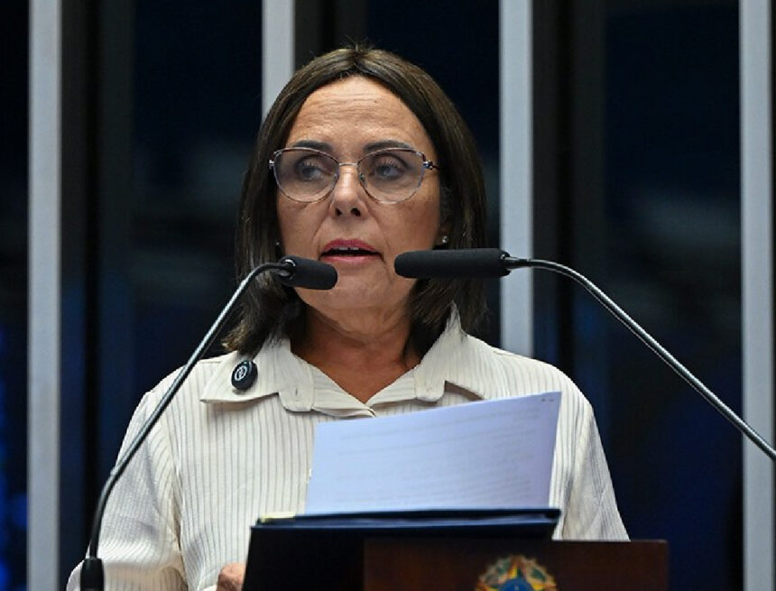 Senadora maranhense propõe incluir artesãos de baixa renda entre segurados especiais do INSS